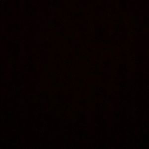 Meet your Posher, Rajbeer